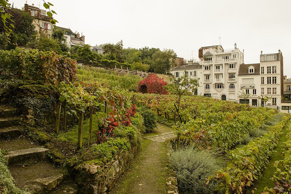 Geneva: Private Tour with Personal Guide