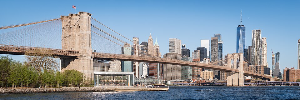 New York: Guided Family Tour